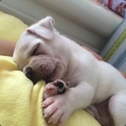 你想听哪三个字