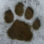 SnowPaw