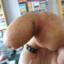 DickTater