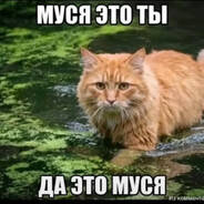 qwiqxxx - steam id 76561199529618675