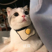 哔哩哔哩丶白茶