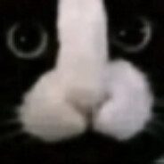 『しろ』 's avatar