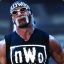 HOLLYWOOD HOGAN