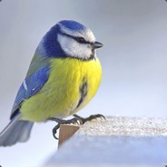 Steam Avatar