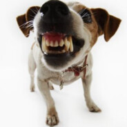 салатєс оу ес