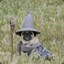 Gandalf the Pug