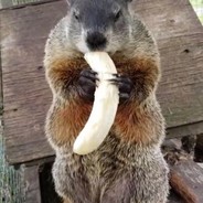 Beaver@pvpro.com