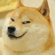 NiceDoge