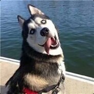 Big Avatar