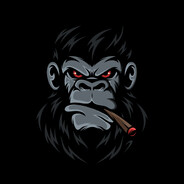 2MOR - w1nn3r - steam id 76561199622843653