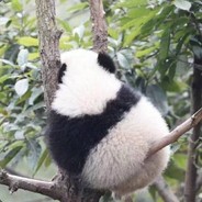 举止优雅毫不慌张