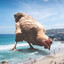 Cockbringer