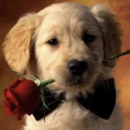 Awei只打荒漠迷城