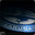Bluebird529