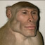 Sir Bananalot