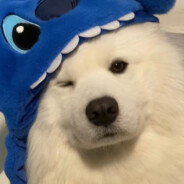 多冰美式少少甜