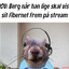 Fibernet Berg