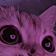 s1asher_sun999 - steam id 76561199234988557