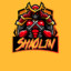 Shaol1n (iz tap)