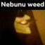 nebunu weed