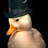 西伯利鸭和帽子