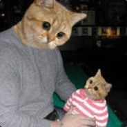 Papakitten