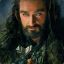 Thorin, Son of Thrain