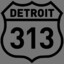 Toni313
