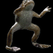 NawtZach
