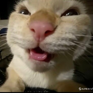 kvest1k- - steam id 76561198327431262