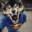YSLsports