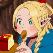 跑不动的花椰菜