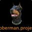 Doberman