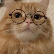 重生之我是ongeki高手