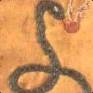 .:CoBra:.