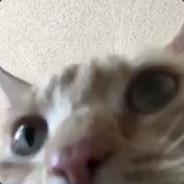vykz