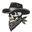 Avatar of Ariat Rambler boots