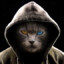 Ruan_7334