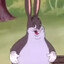 Bugi