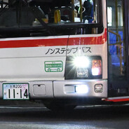 Hoshinone avatar