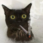 кошак