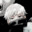 vethol Steam avatar
