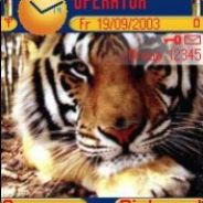 BÜTc][-][€ЯяЯ & T!GGeЯ'sSŋ!peЯяЯ