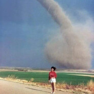 Observa