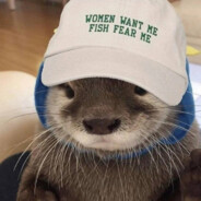 胡萝卜的小叶子