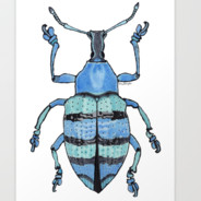weEVIL