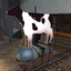 Avatar of Why is the cart not Moo?