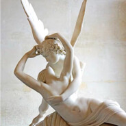 爱吃胡萝卜的青春猪头