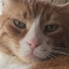 DeadlyFunCat
