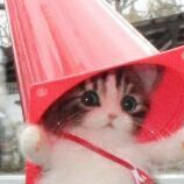 校园网随时断网